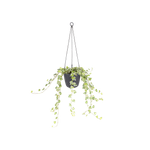 brussels hängeampel 18cm anthracite